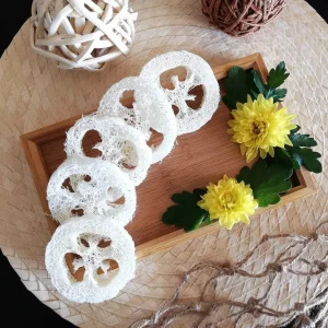 5 Pack Natural Loofah Slice Sponge